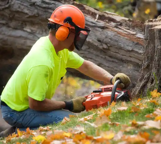 tree services Muldraugh